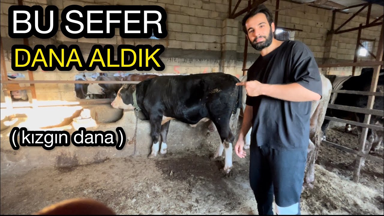 BU SEFER DANA ALDIK! Kurban Özel Video!