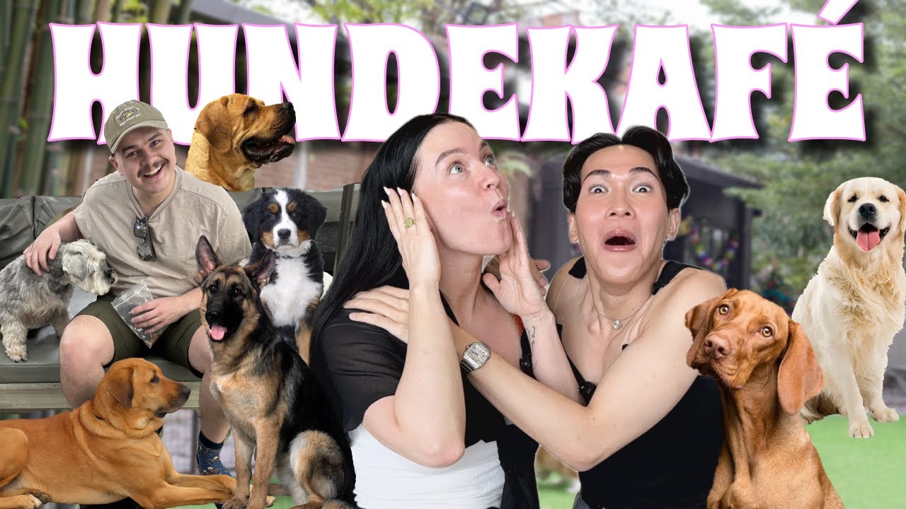 Tester DYREKAFÉER med TIM KRISTIAN!🐶🐈🦆 (Ble bæsjet på💩)