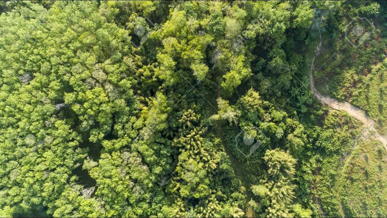 Drone /Halen Belgium/4K