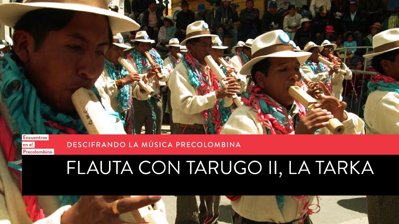 Descifrando la música precolombino: Flauta con tarugo II, la tarka