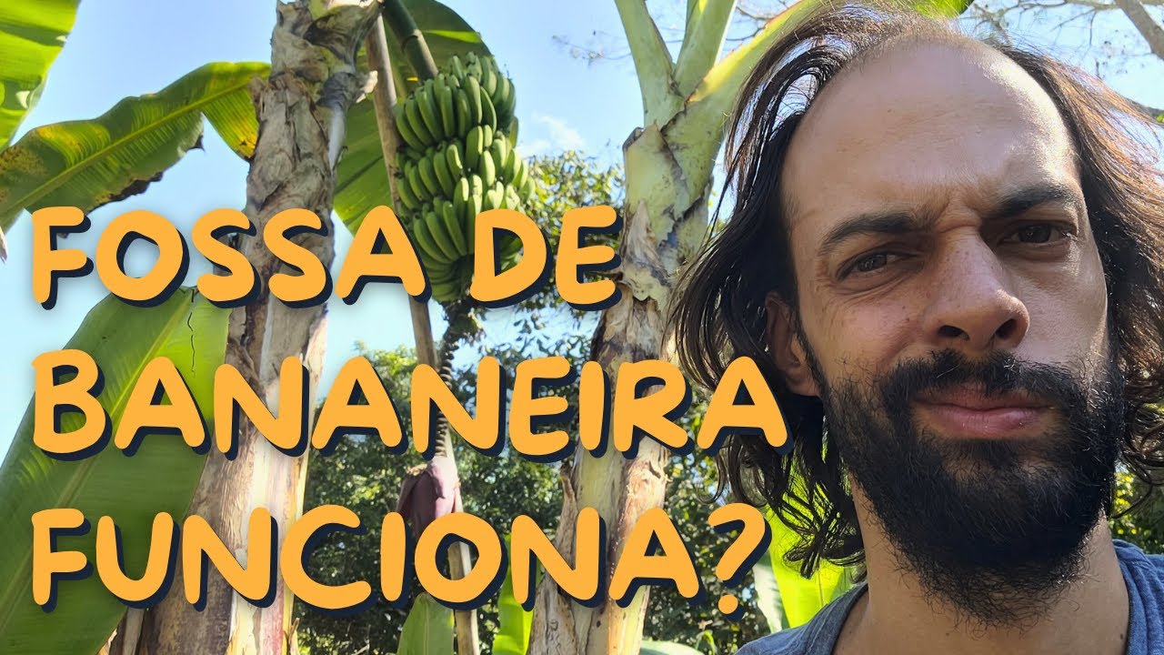 Como Fazer Círculo de Bananeiras para Águas Cinzas - Saneamento Rural