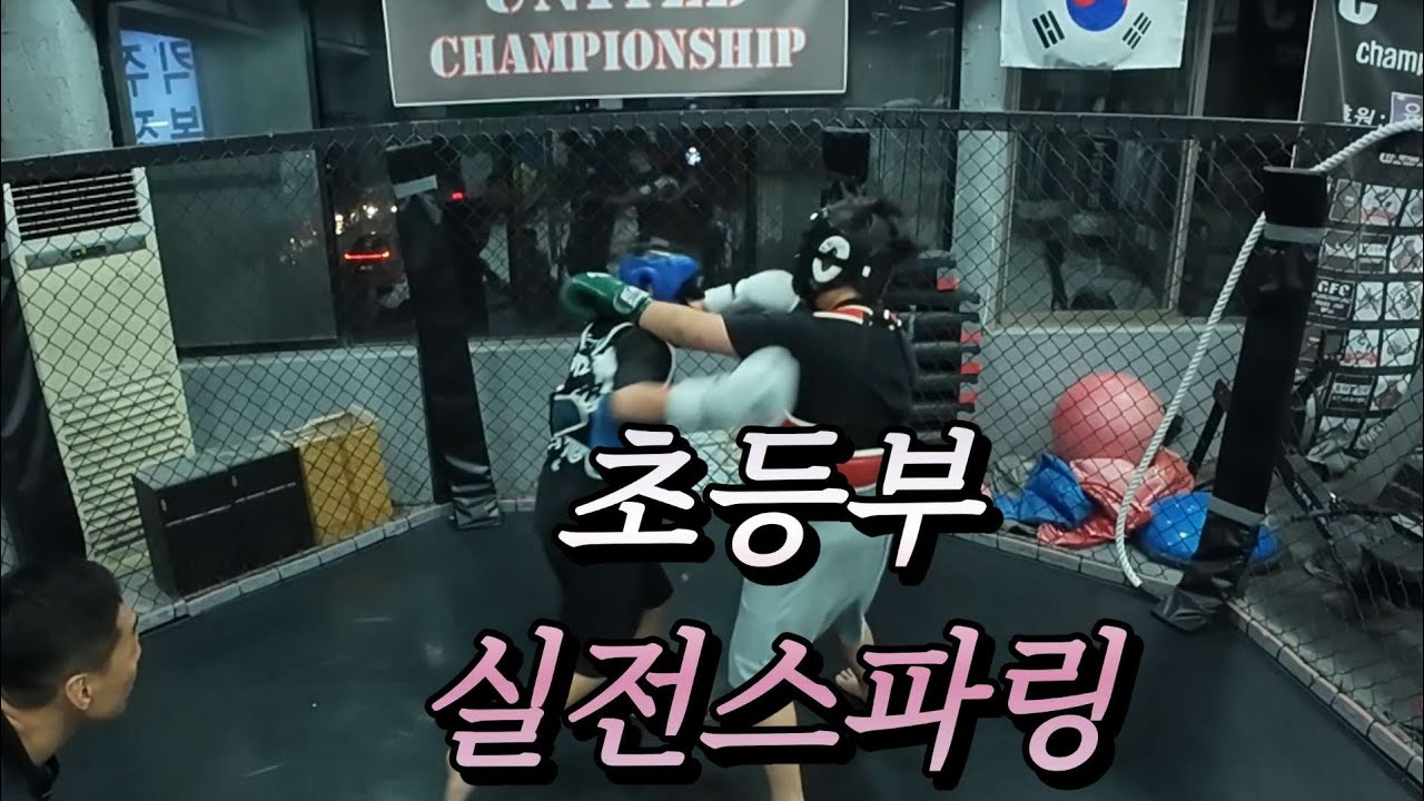 초등부 6학년 실전스파링