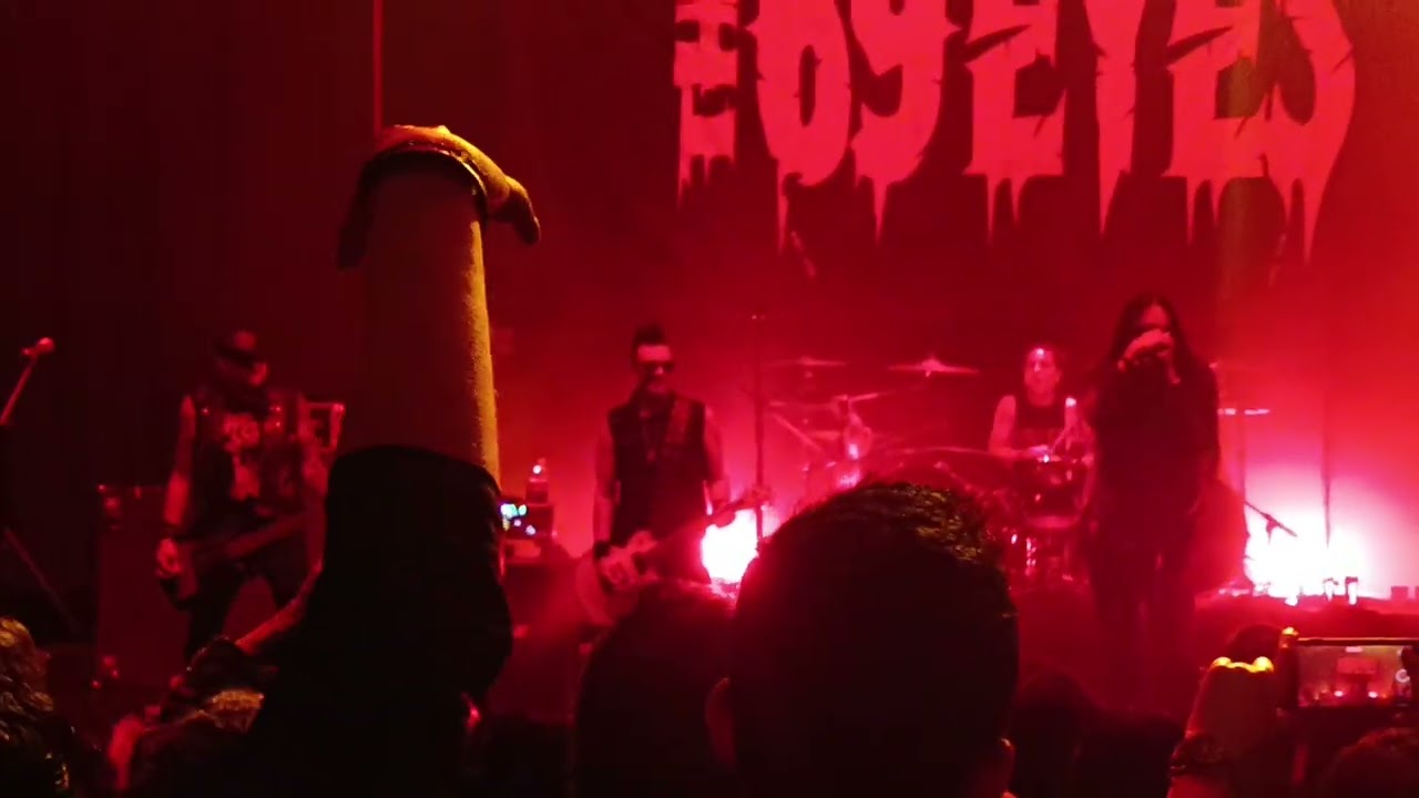 The 69 Eyes 