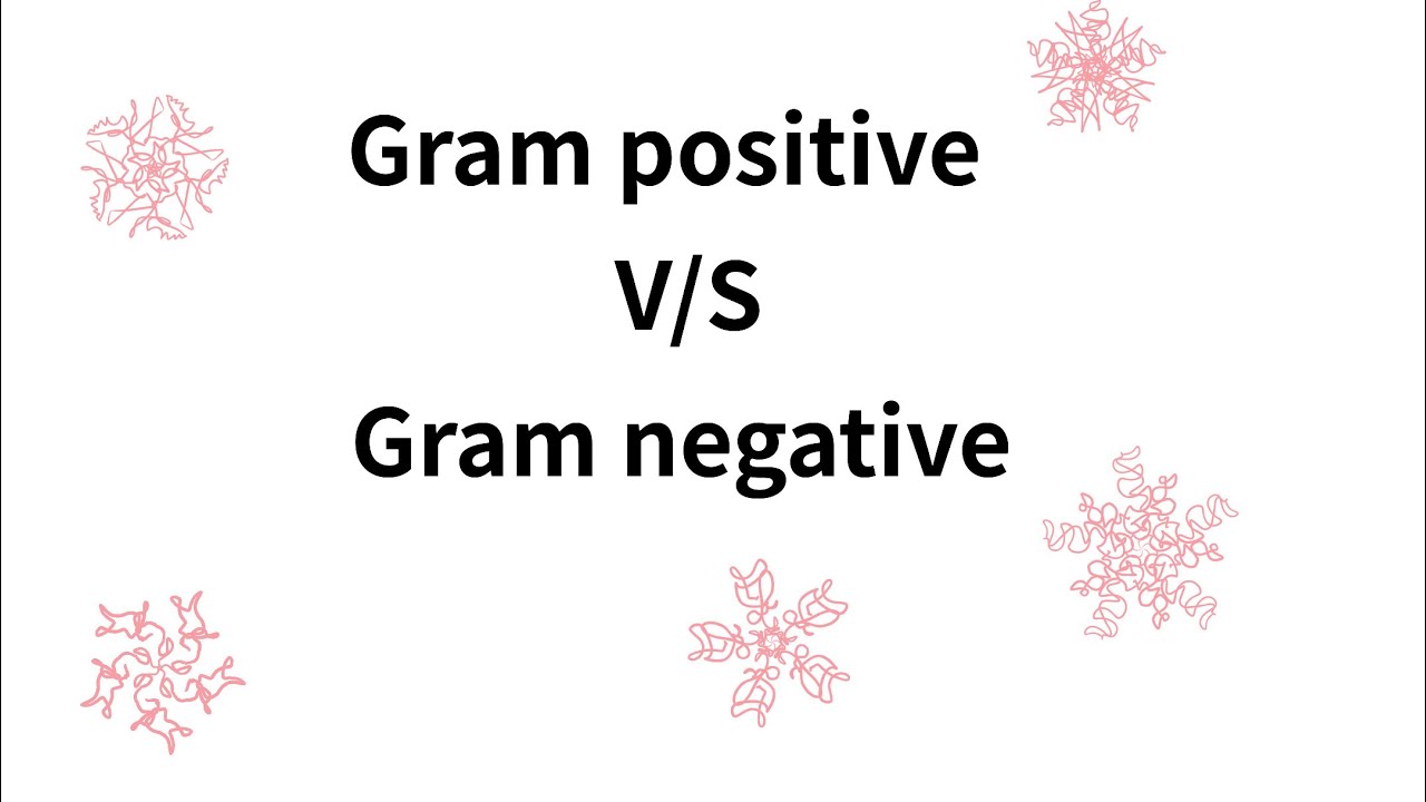 Gram positive and gram negative bacteria | part 3
