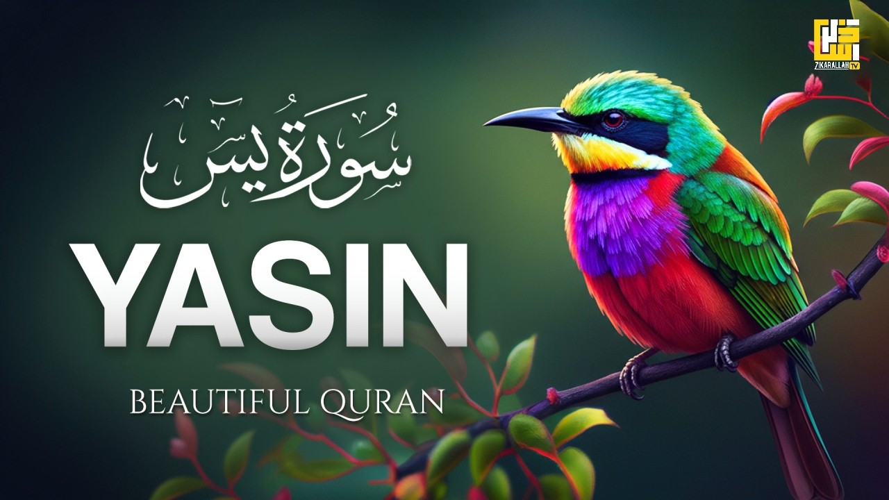 Surah Yaseen (Yasin) سورة يس | Night Recitation Filled with Peace & Light ✨ #lofiquran