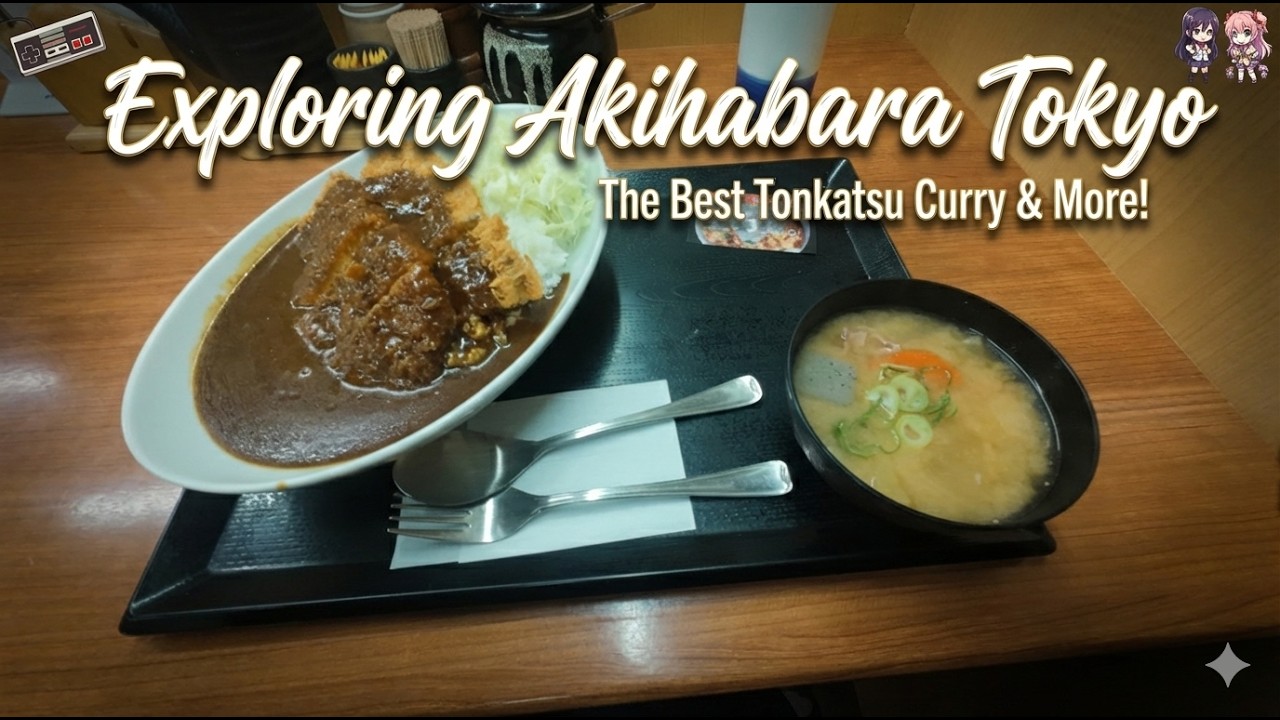 Exploring Akihabara Tokyo | Yodobashi Camera & Delicious Katsuya Meal 🍛