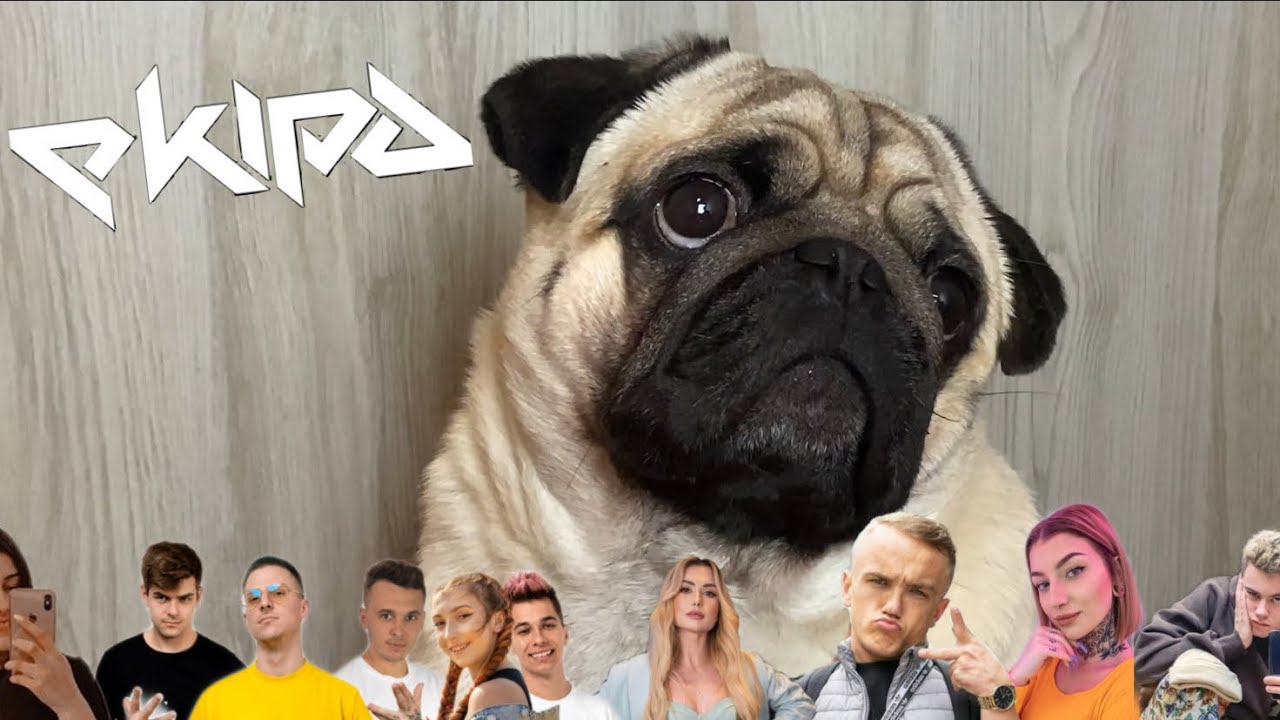 Mops Prezes Gacuś do piosenki EKIPA - 3KIPA 😱
