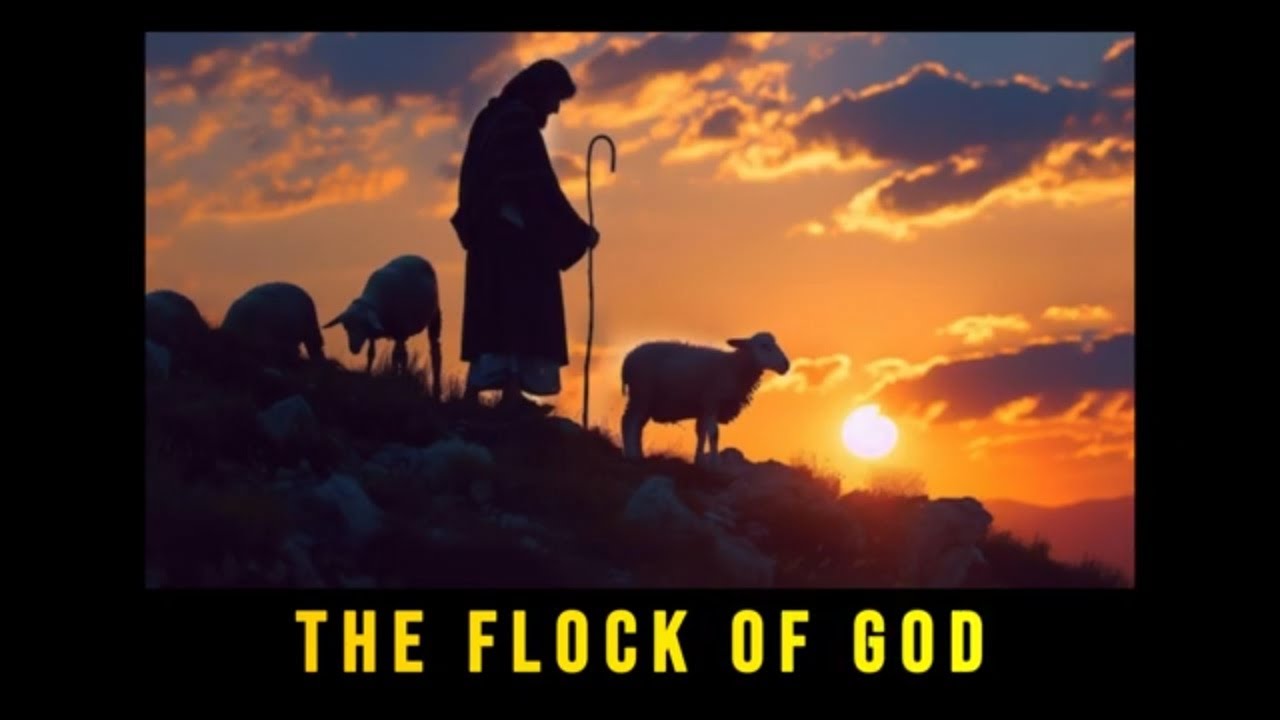 Four Truths About the Shepherd and His Sheep | The Flock Of God
