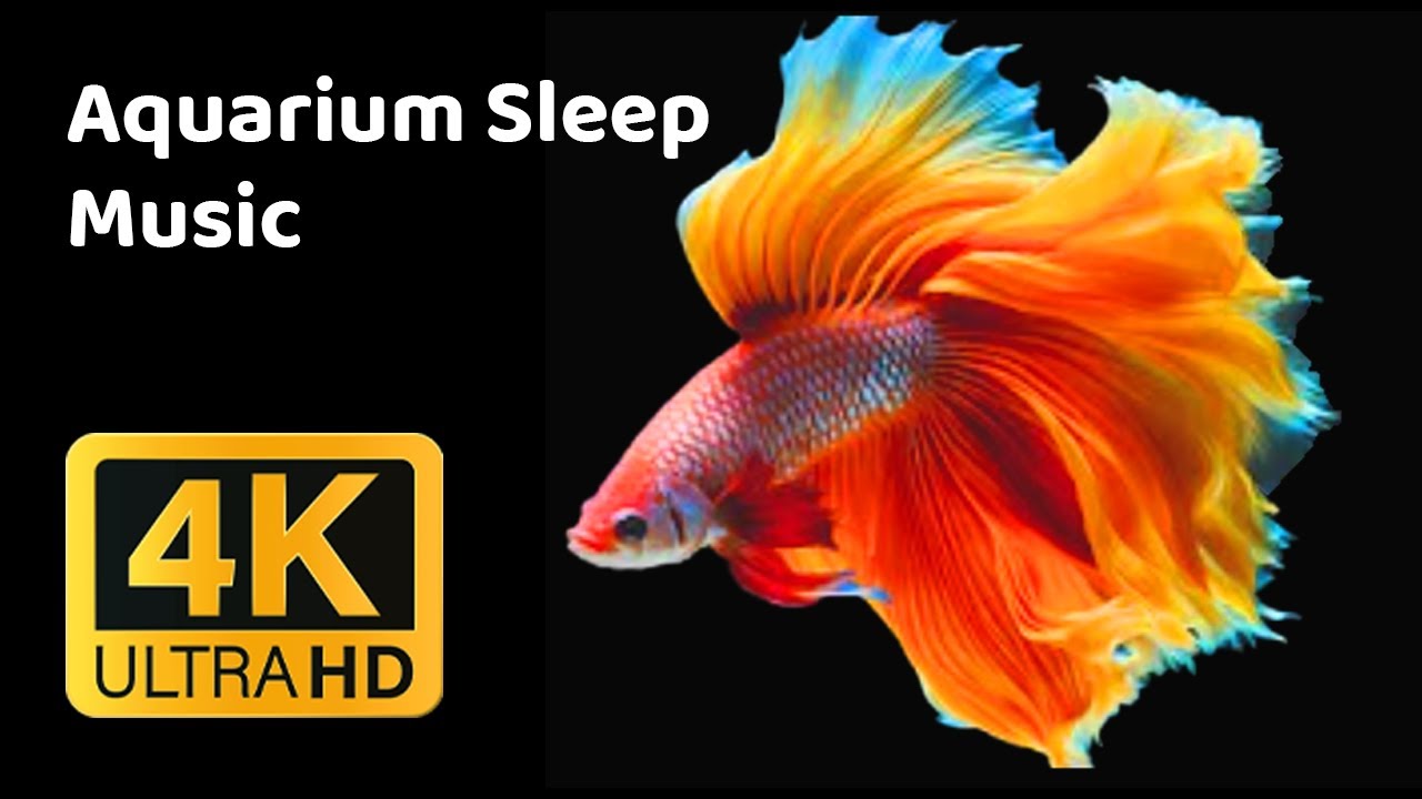 Aquarium Sleep Music 🐠 Deep Relaxation & Stress Relief | Peaceful Fish Tank for Better Sleep