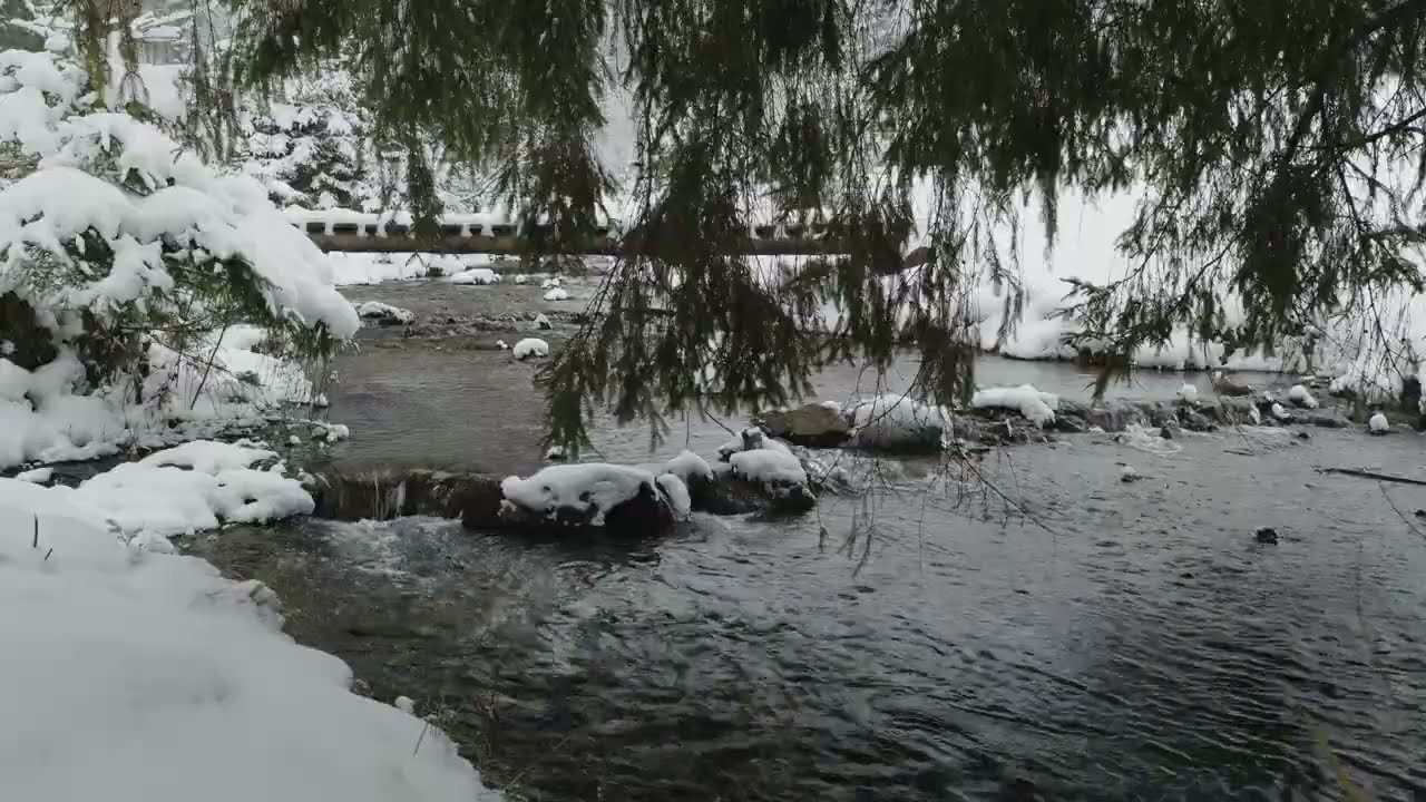 10 Hours Winter Forest Stream for Sleep, Relaxation & Deep Focus | Snowy Nature 4K