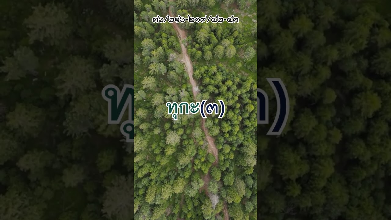 (๓๖/๒๑๖-๒๑๙/๔๒-๔๓) ทุกะ(๓)