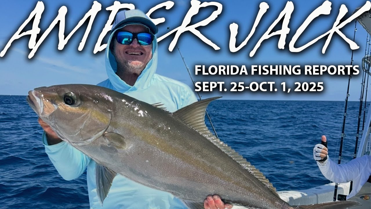 Big AJ Action! | Amberjack Takeover &ndash; Florida Insider Fishing Report