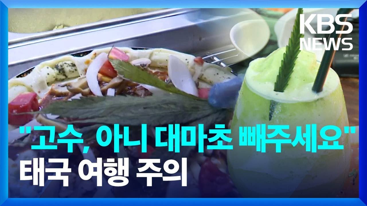 [글로벌K] “고수, 아니 대마초 빼주세요”…태국 여행 주의 / KBS  2022.06.30.