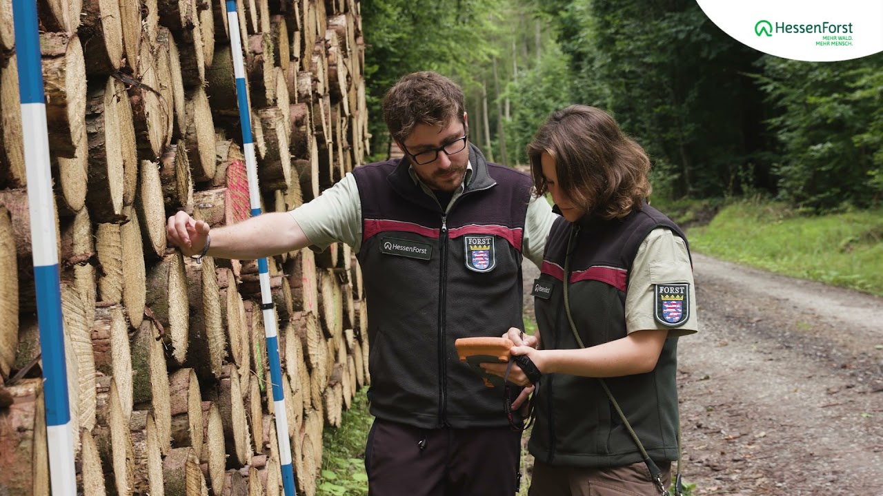 HessenForst: Mehr Wald. Mehr Mensch.