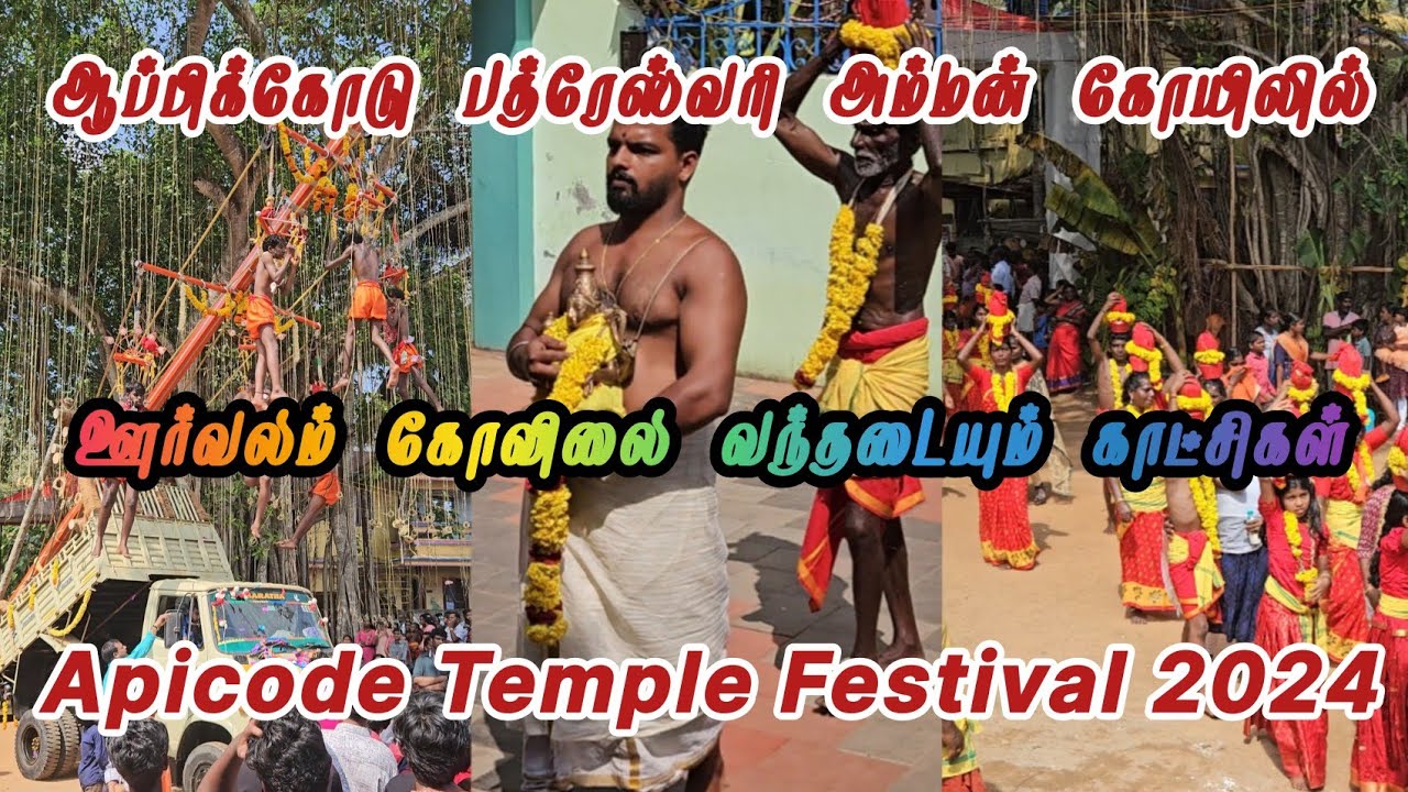 Appicode Temple Orvalam 2024 Part 2 | Sree Bhadreswari Amman Temple Appicode orvalam 2024 | Appicode