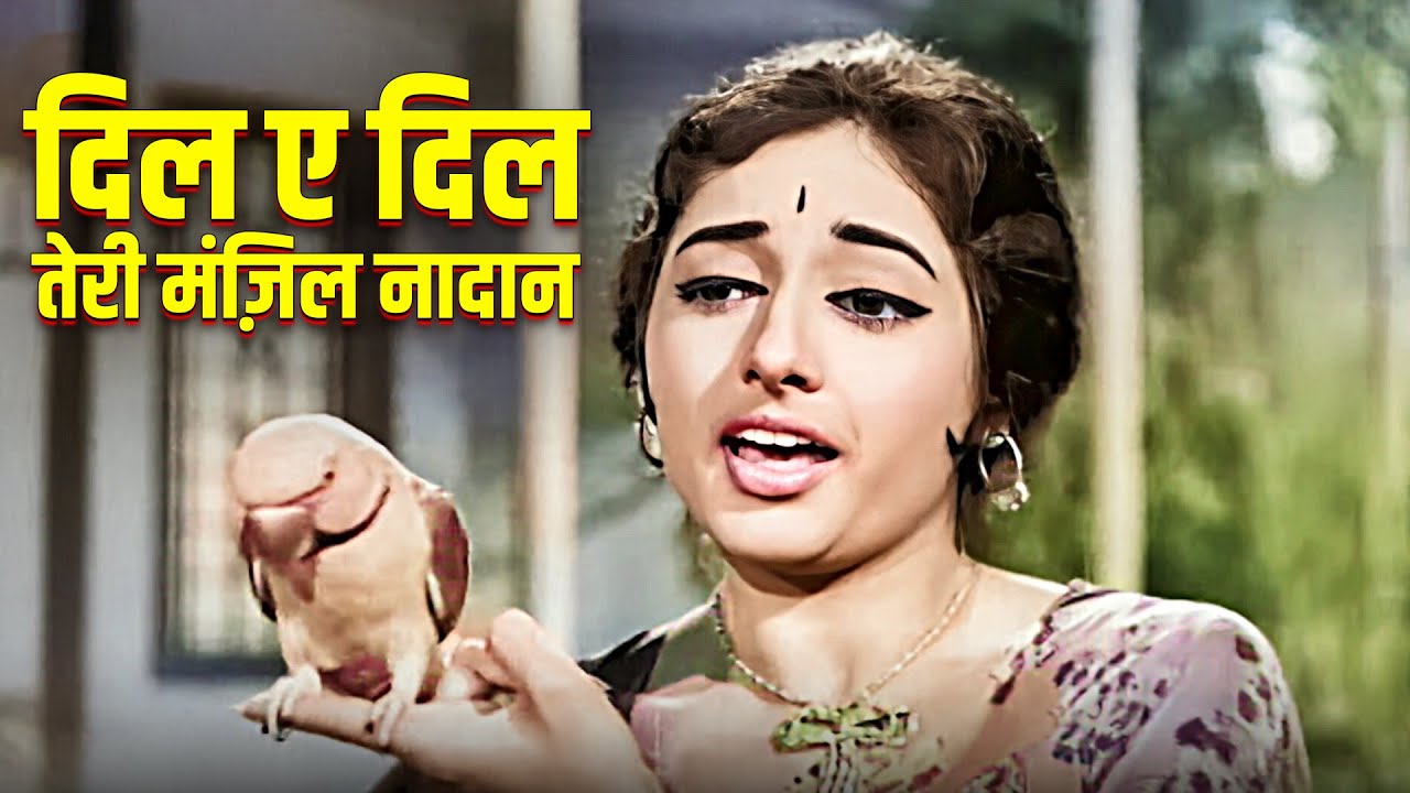 Dil E Dil Teri Manzil Naadan (दिल ए दिल तेरी मंज़िल नादान) | Lata Mangeshkar | Laxmikant–Pyarelal