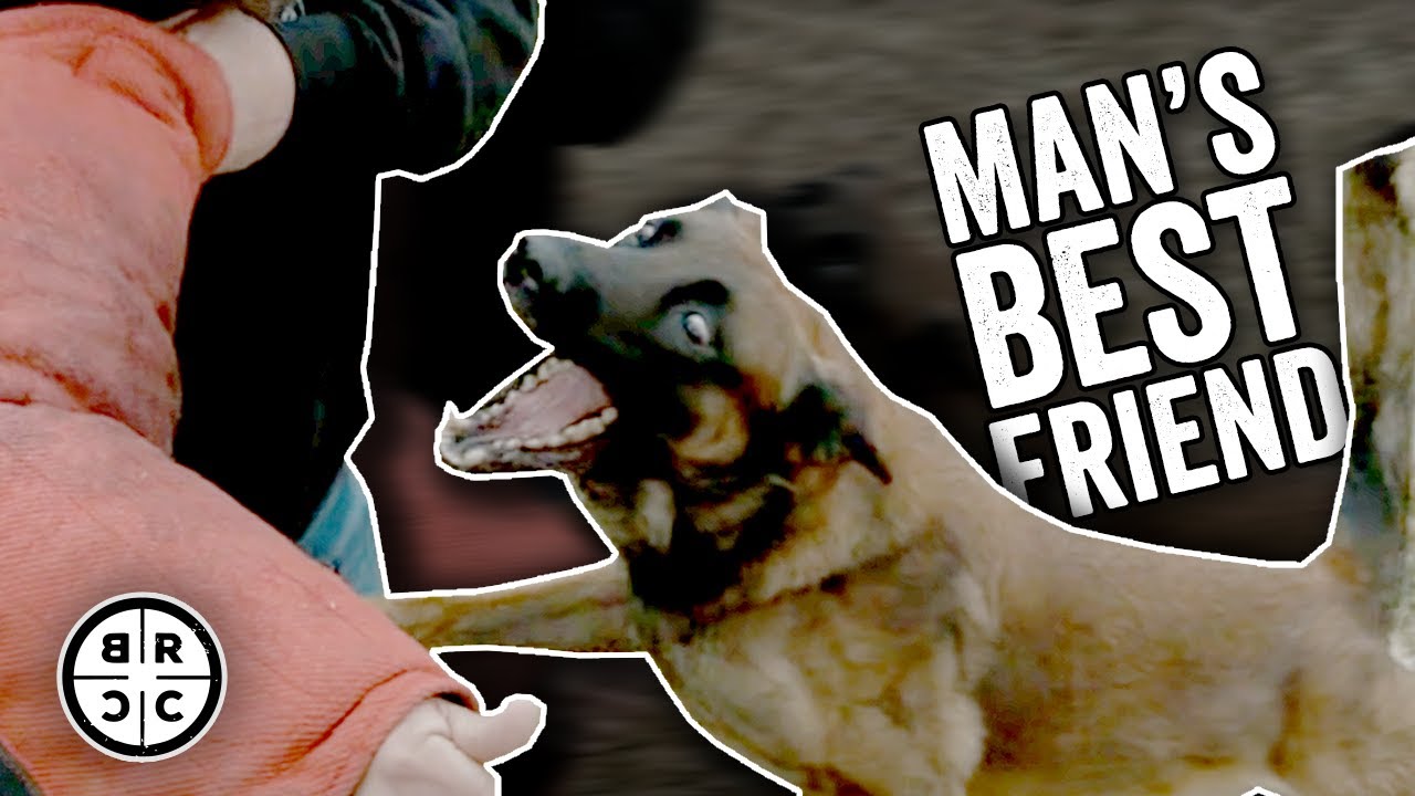 The Dogs of Black Rifle Coffee