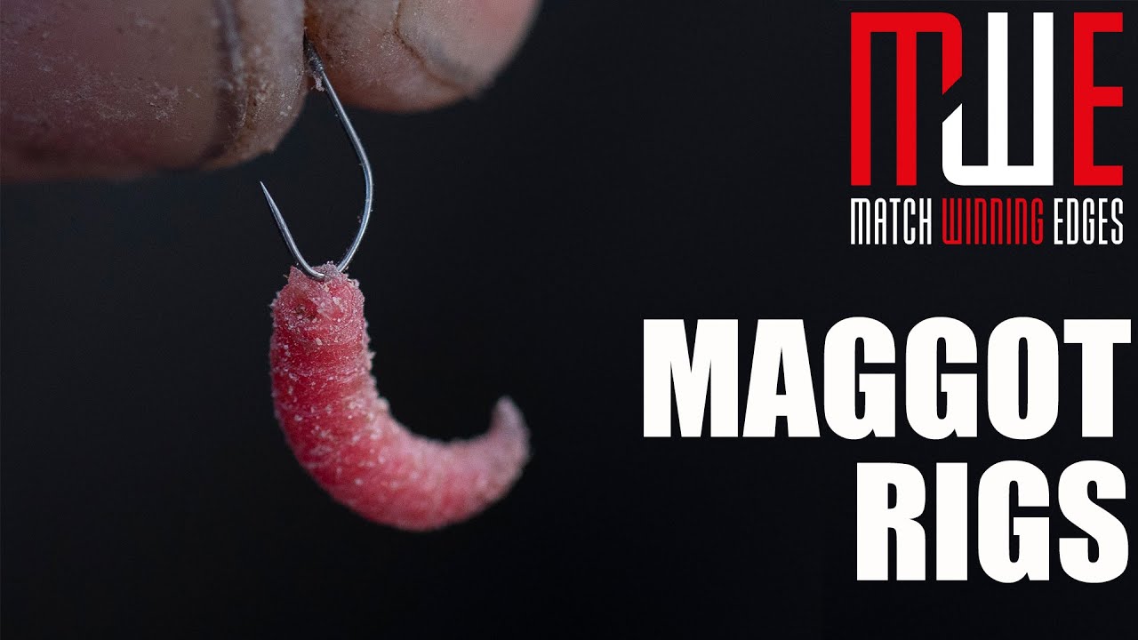 Maggot Rigs For Coolwater Commercials