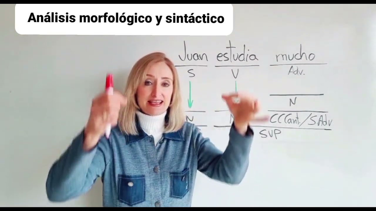 Aprende a realizar el an&aacute;lisis morfol&oacute;gico y sint&aacute;ctico de una oraci&oacute;n. #profedelengua #sintaxis