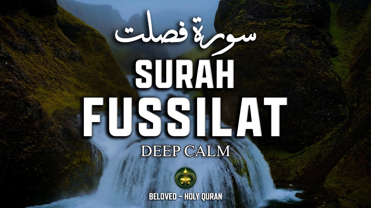 Surah Fussilat (سورة فصلت) – Deep & Calm Quran Recitation