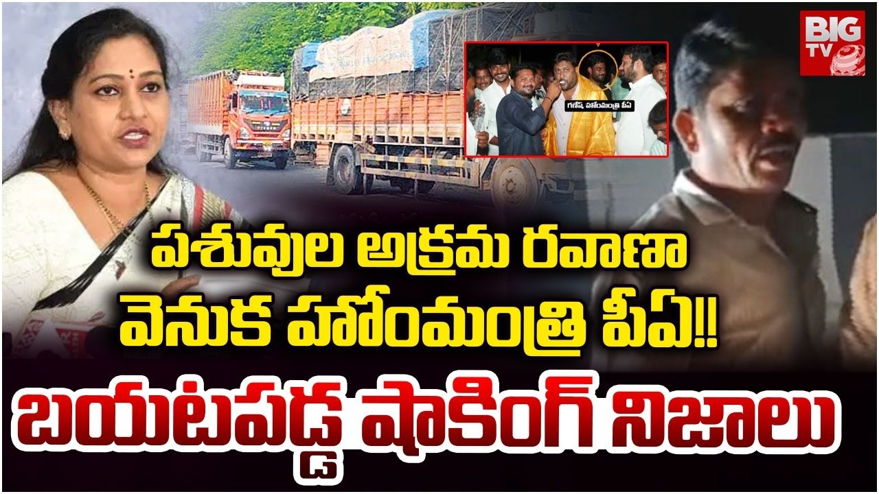 పశువుల అక్రమ రవాణా వెనుక హోంమంత్రి పీఏ!! | Home Minister PA behind cattle Smuggling!! | Kakani Babu