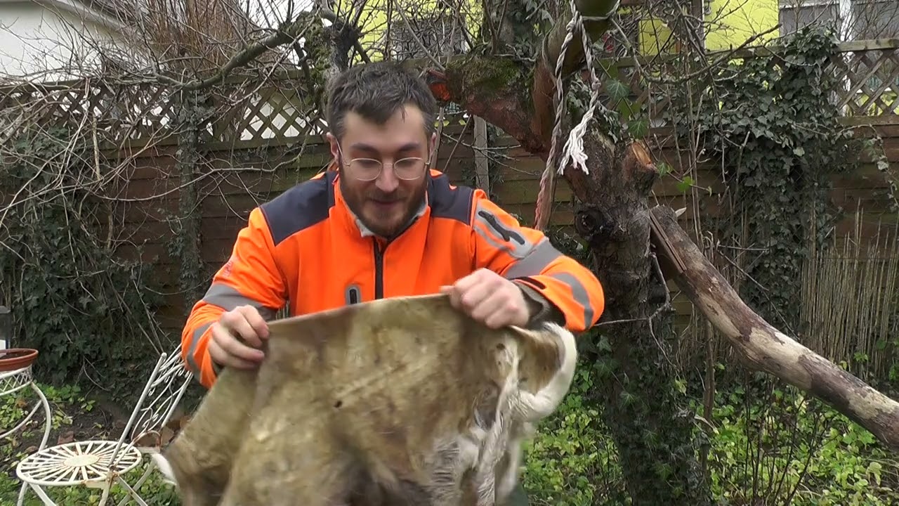 Hirschleder Gerben: Teil 2 Fetten und Weich machen