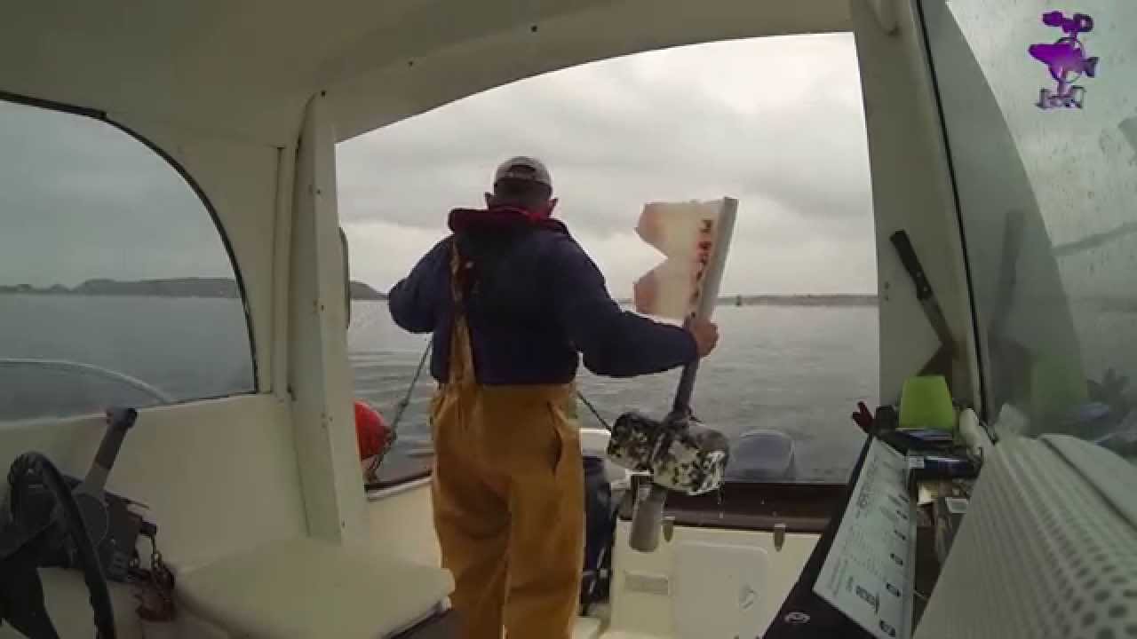 Relève des casiers à homards, crabes et araignées