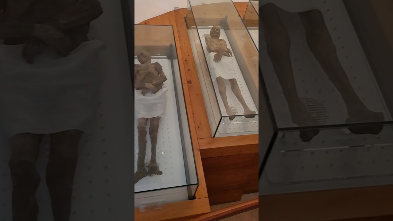 Mummified CorpsesLe Mummie di Venzone Italy