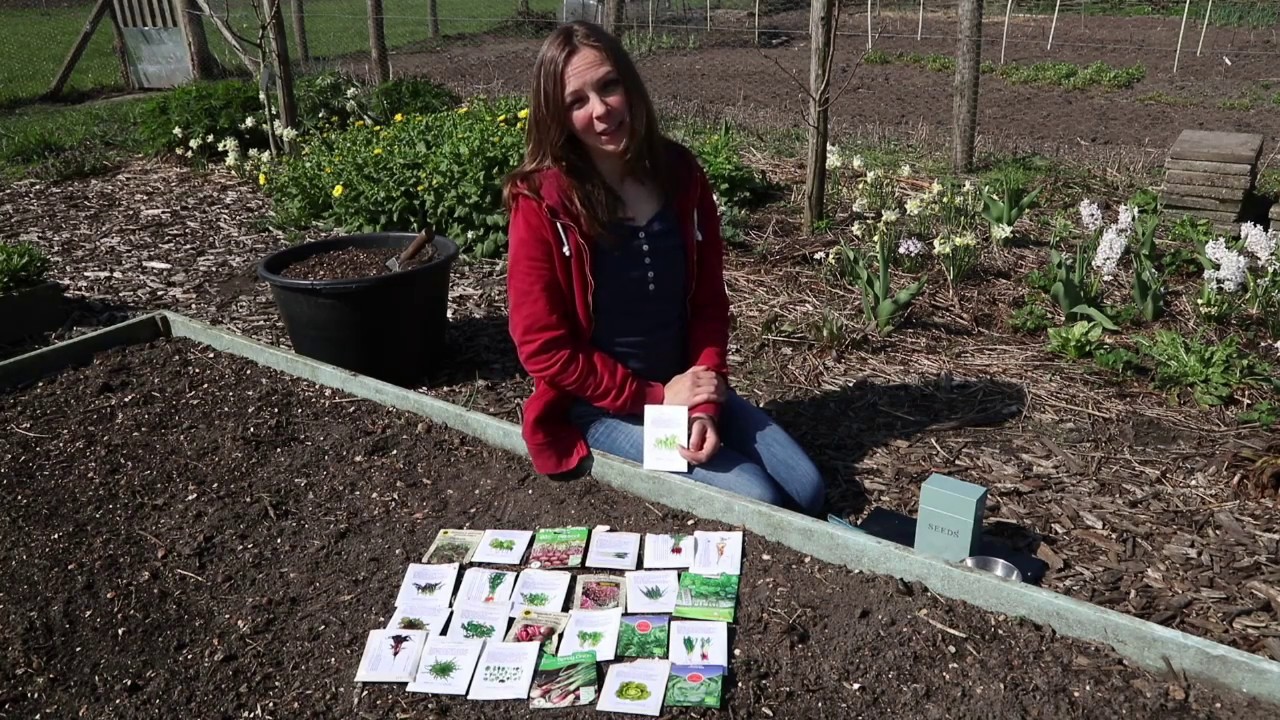 Easy polyculture of annual vegetables