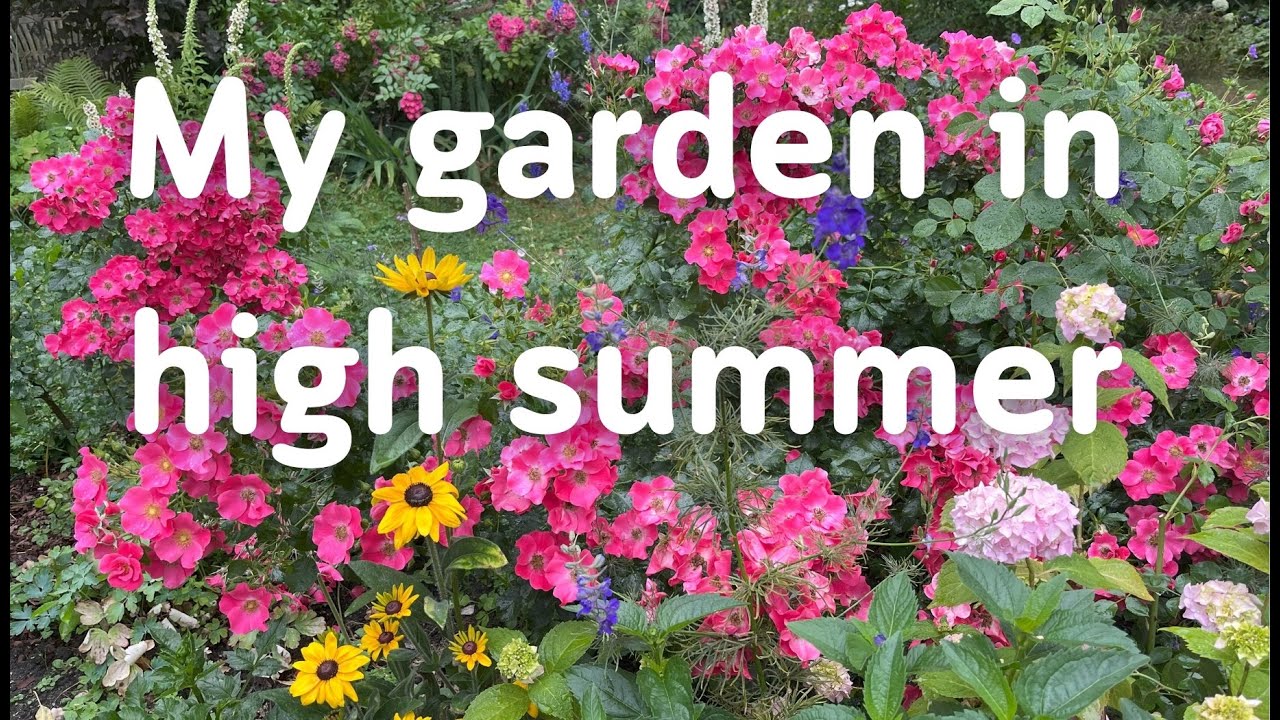My GARDEN in JULY (CCs in many languages) #garden #jardin #garten #giardino