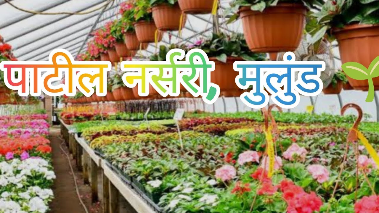 Patil Nursery | Mulund | Indoor & Outdoor Plants 🌼