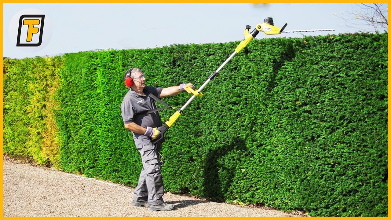 ⚡ EXTREMELY Satisfying Hedge Trimming , Grass Cutting & Lawn Care Skills