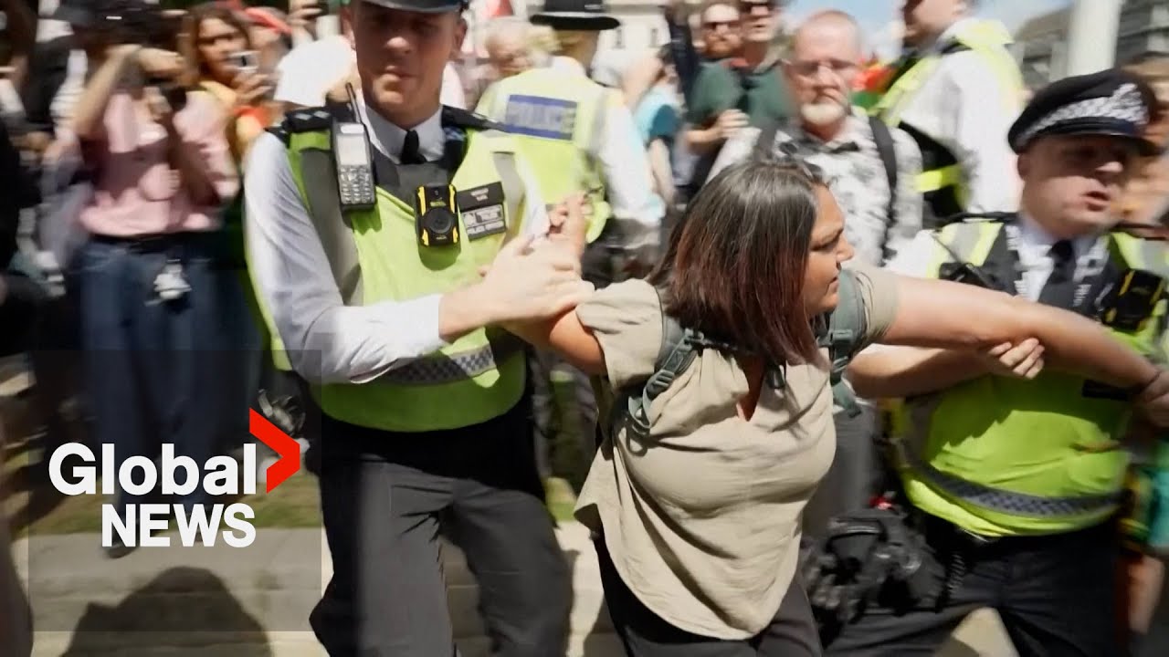 Hundreds arrested in London, worldwide protests demand Israel halt plans for Gaza siege