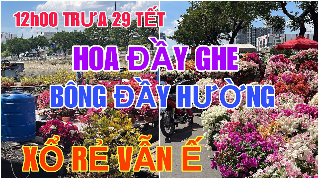 Tập 2873 12h00 TRƯA 29 TẾT HOA ĐẦY GHE BÔNG ĐẦY ĐƯỜNG XỔ RẺ VẪN Ế