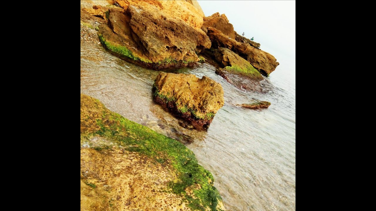 #شاطئ-عين-قاضي-تنس
