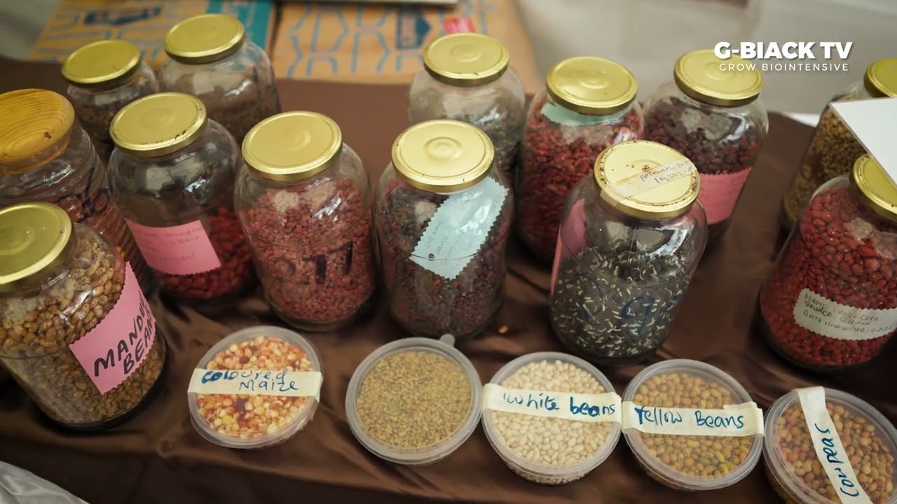 2ND SEEDS FAIR IN NAIROBI NATIONAL MUSEUM | G-BIACK