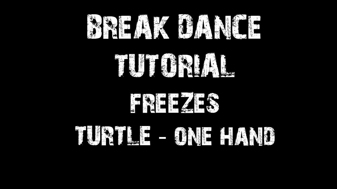 TURTLE ONE HAND