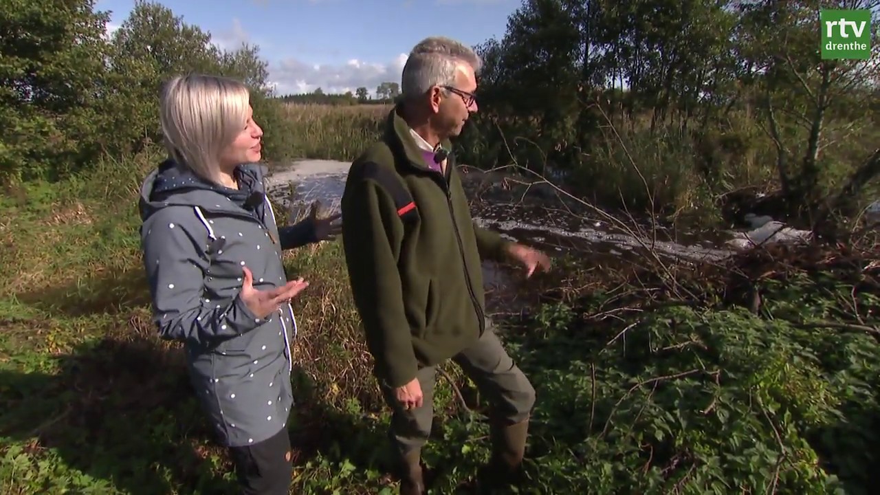 Beverdam | Natuurnieuws