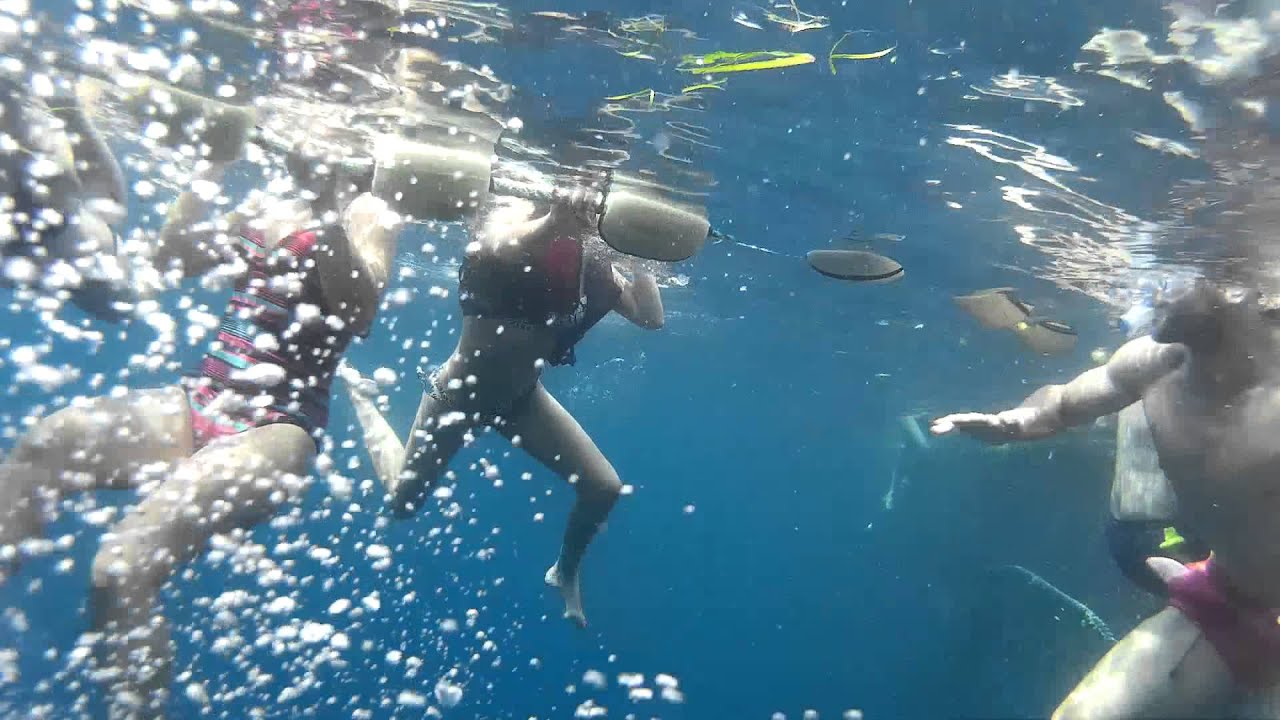 Tuna tour 26-07-15