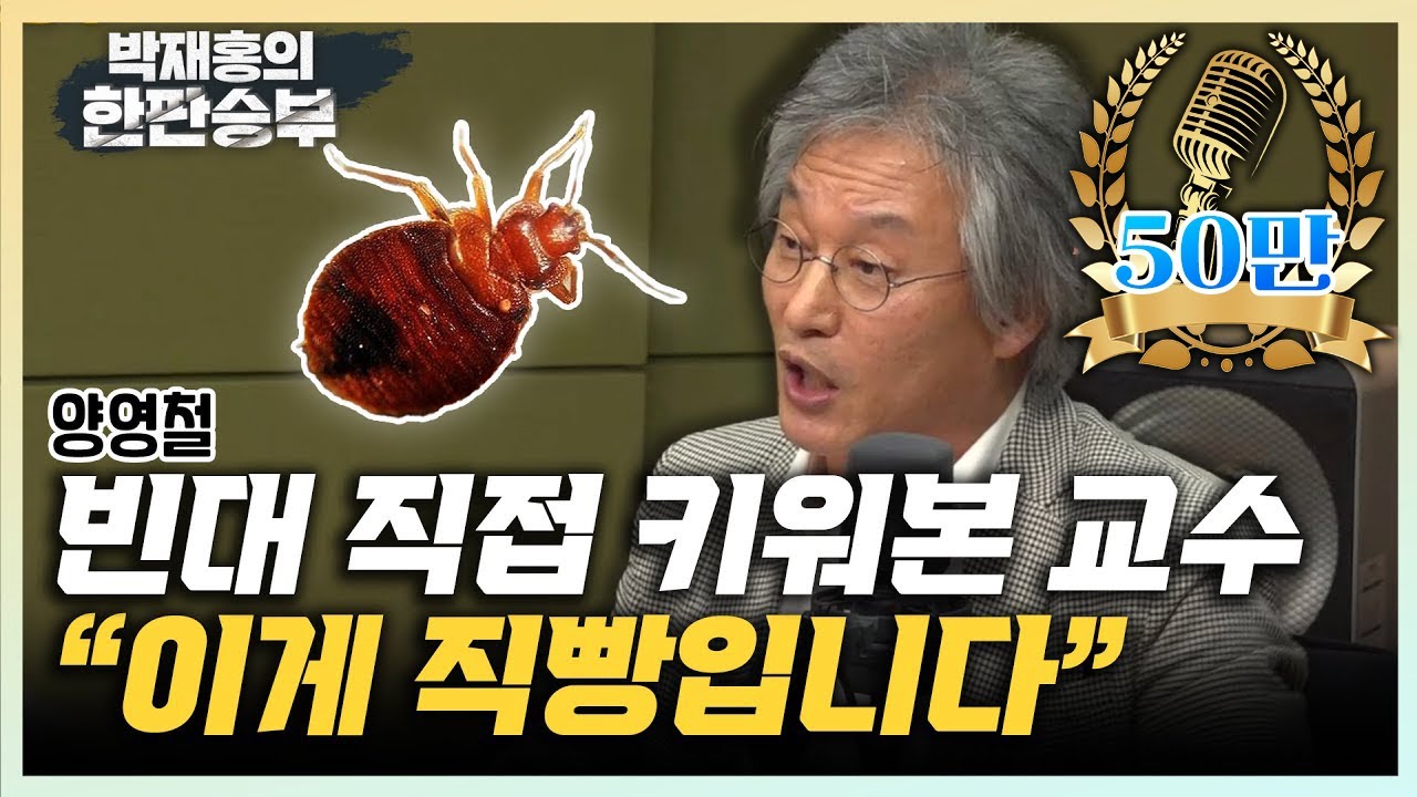 빈대 교수 