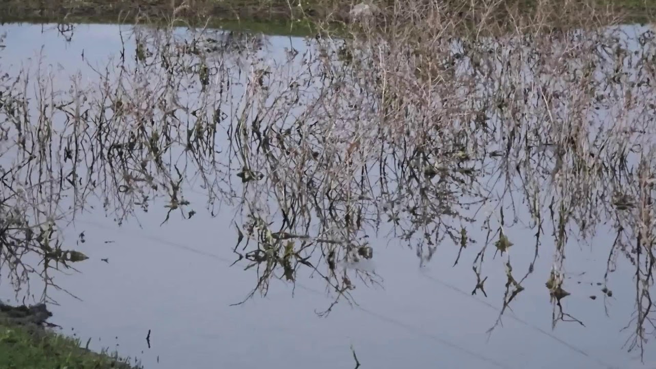 Cooking for the Whole Family Outdoors - Rural Traditions - Farm to Table