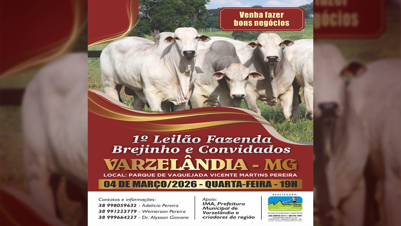 Leilão de Gado - 1° Leilão Fazenda Brejinho e convidados em Varzelândia MG