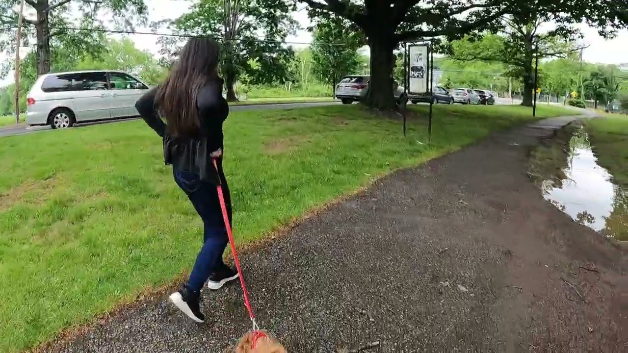 Día de Parque  