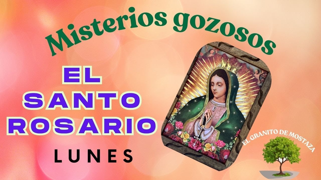 SANTO ROSARIO DE LUNES 26 DE ENERO. MISTERIOS GOZOSOS.