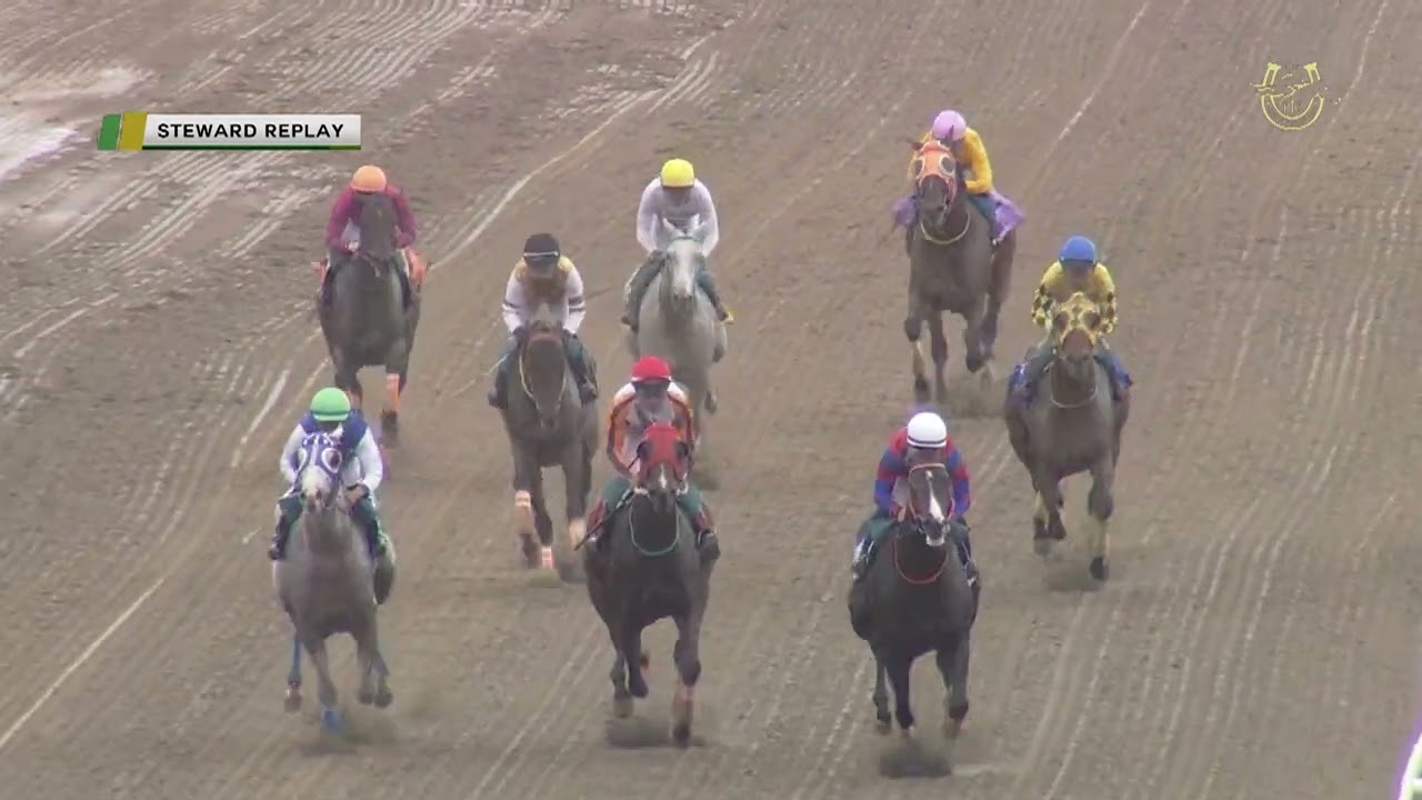 frontal race 2 feb 14