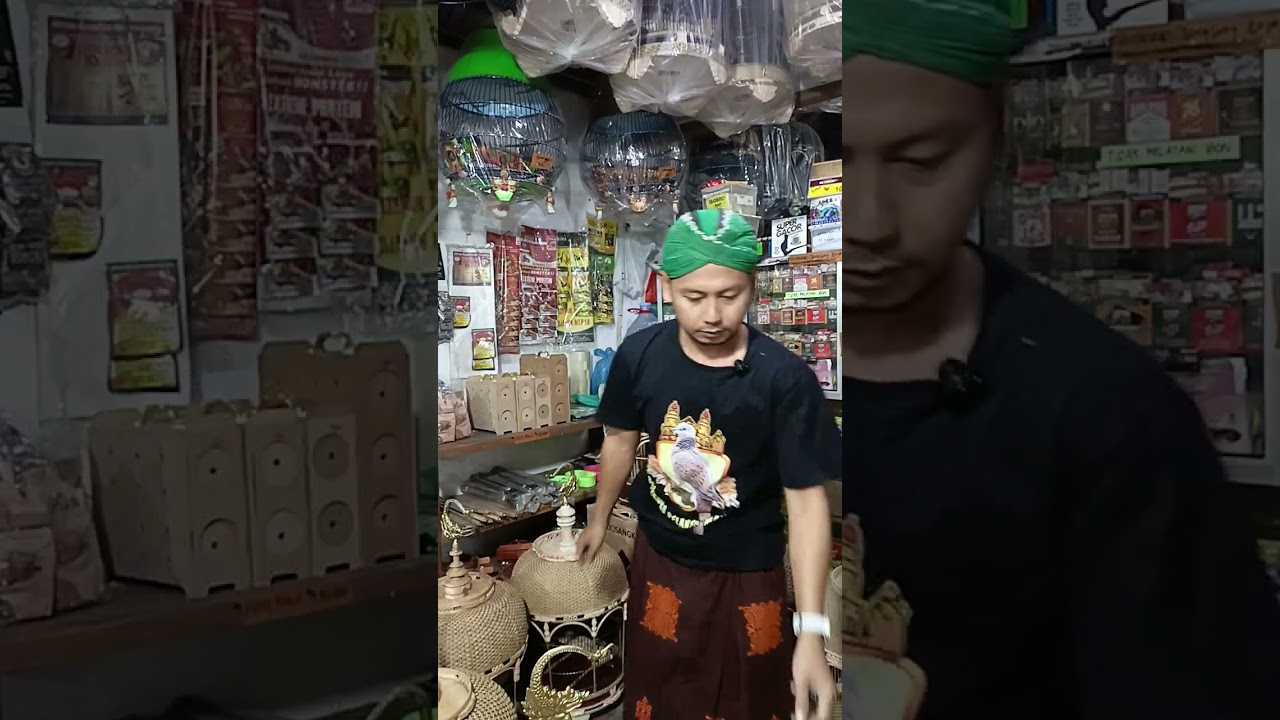 sangkar mashio #perkututgacor #perkutut #sangkarperkutut #sangkarburung ahmed pengilon 08976064915