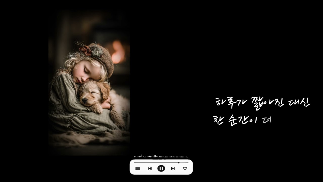 시간의속도 - 댕플로 #강아지 #dog #music