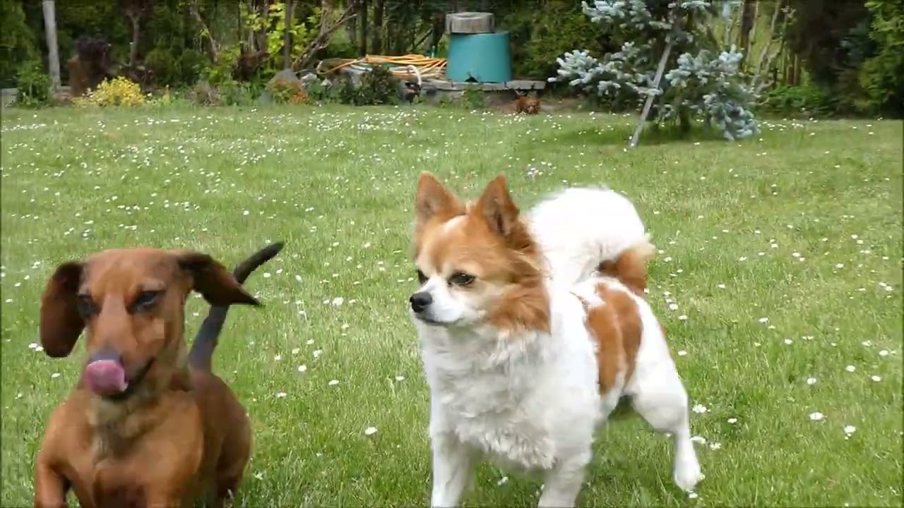 Příběh z 