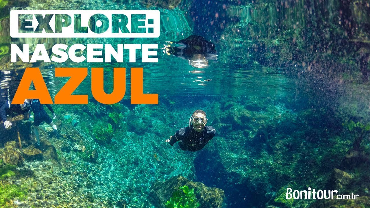 Passeio de FLUTUAÇÃO Nascente Azul, Bonito MS