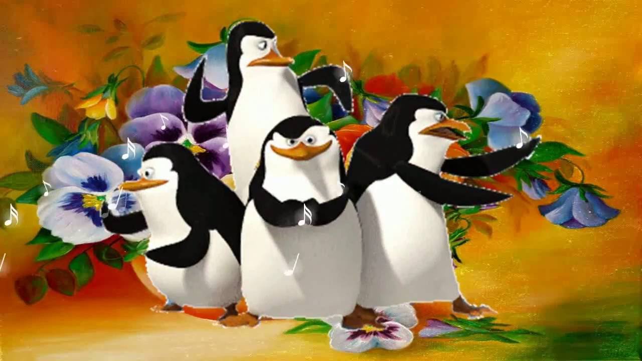 ANCIUKU SOKIS